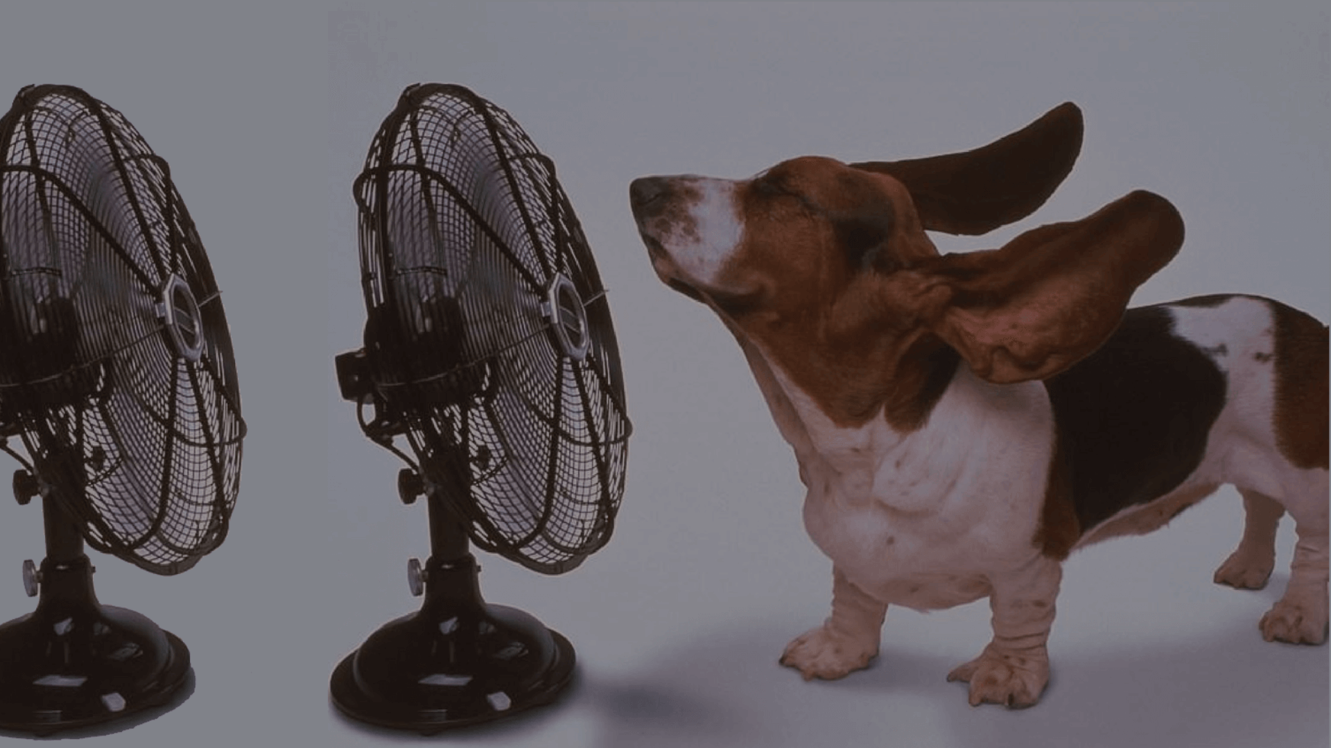 ventiladores en rosario